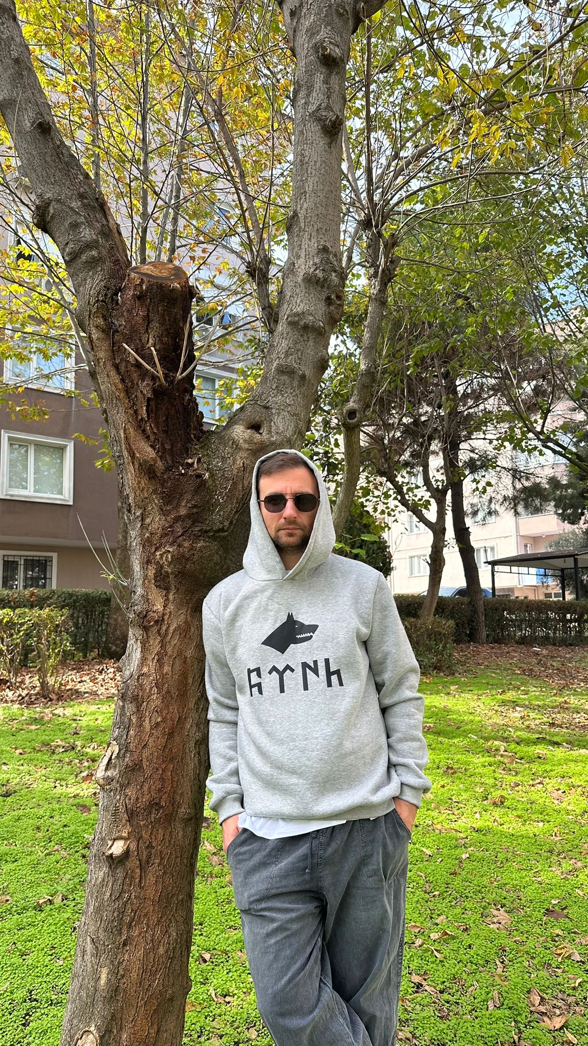 Türk Bozkurt  Baskılı Gri Kapşonlu Sweatshirt